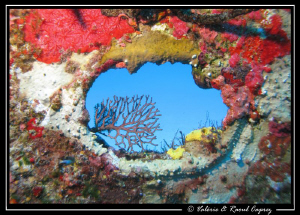 Nice view during a dive on a wreck. by Raoul Caprez 